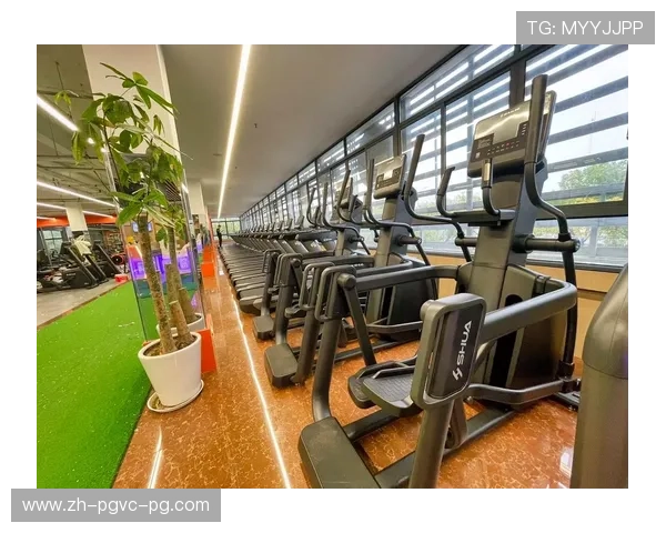 西昌舒华健身器材门店位置与产品介绍